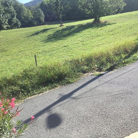 A Cote De Geneve 2 Apartment Saint-Cergues Екстериор снимка